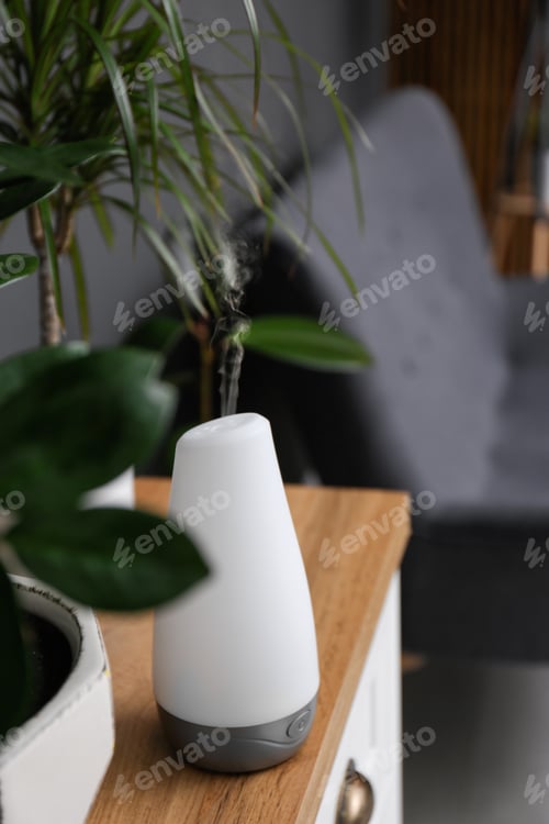 Preview: Plant and oil diffuser on cabinet indoors. Home design idea