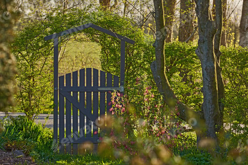 Preview: Summer garden
