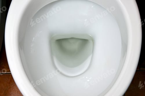 Preview: A photograph of a white ceramic toilet bowl in the dressing room or bathroom
