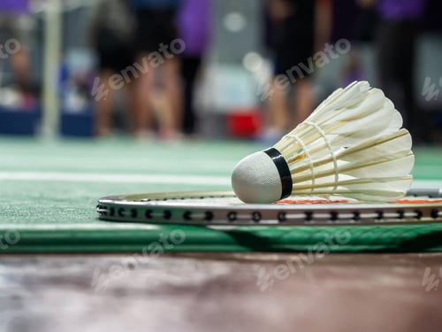 Preview: White badminton shuttlecock and racquet on a green court.