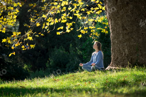 Preview: Woman Meditating in a Park by a Tree