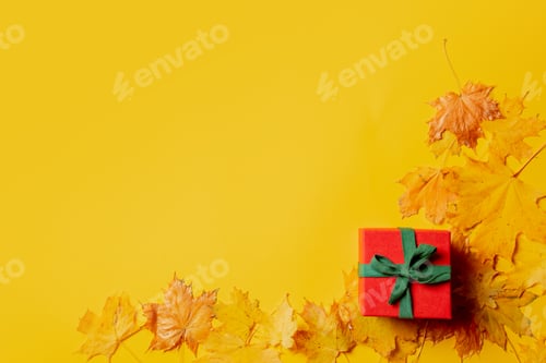 Preview: Holiday gift box and maple leaves around on yellow background