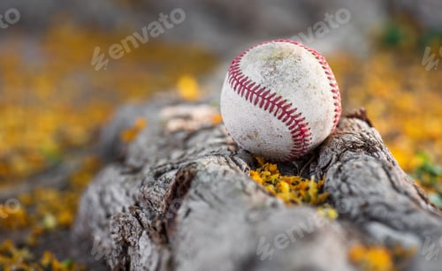 Preview: Baseball with Fall colors