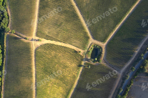 Preview: Aerial photographic documentation of a vineyard