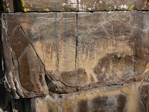 Preview: Animal petroglyph carved in rocks