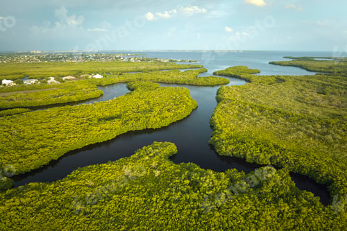 Preview: Aerial view of Florida wetlands with green vegetation between ocean water inlets.