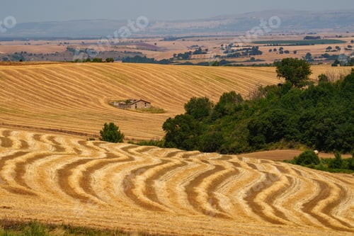 Preview: Country landscape near Forenza and Venosa, Basilicata, Italy