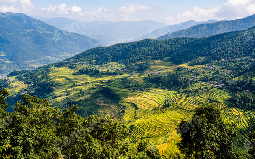 Preview: Landscape view of terrace paddy farmland in Lamjun