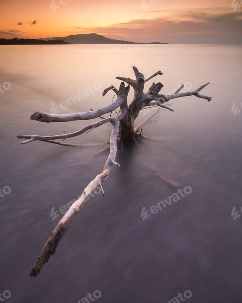 Preview: Beach during sunset