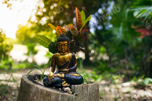 Preview: meditating buddha statue jungle background