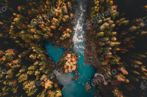 Preview: Aerial top view of a river flowing into a lake surrounded by a green pine forest