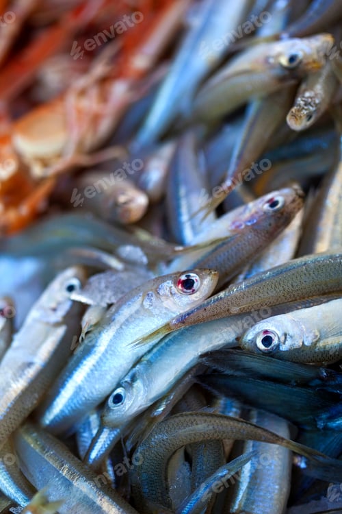 Preview: Fish