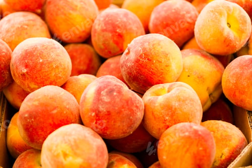 Preview: Peaches