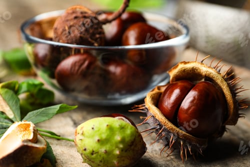 Preview: Horse chestnuts on wooden table, closeup view