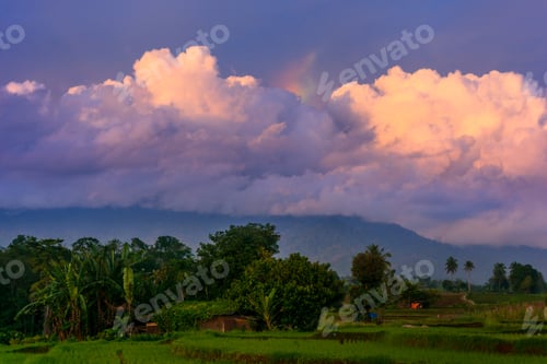Preview: Beautiful morning view indonesia Panorama Landscape paddy fields with beauty color