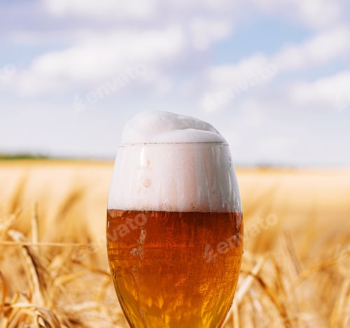 Preview: a glass of beer in a wheat field