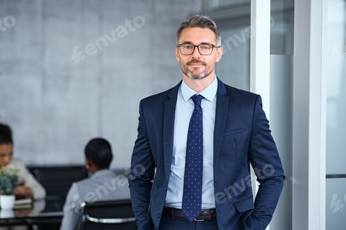 Preview: Successful mature businessman looking at camera with confidence