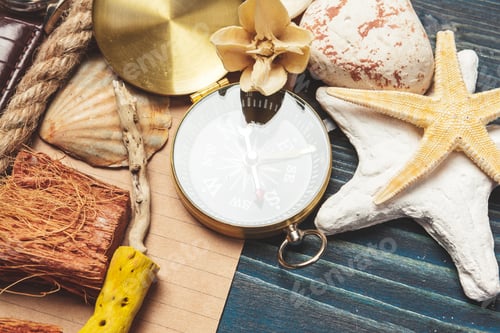 Preview: seashells and compass. beautiful sea composition with shells and vintage compass