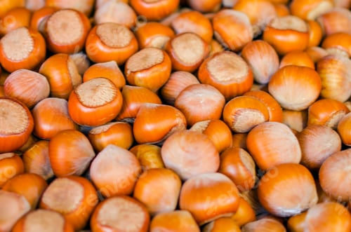 Preview: Hazelnut in the shell on the counter in the market.