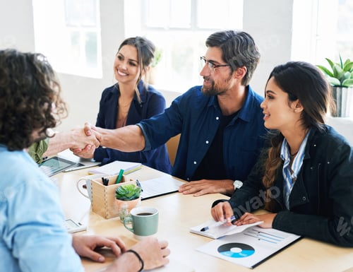 Preview: Business people shaking hands in office meeting after successful partnership deal for startup compa