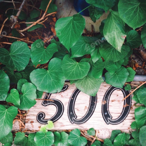 Number Sign Covered by Green Vine Leaves