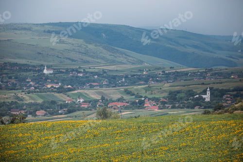 Preview: Sunflower fields before the rain.