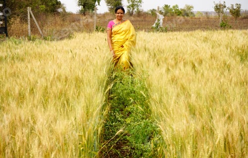 Woman standing in golden field during daytime