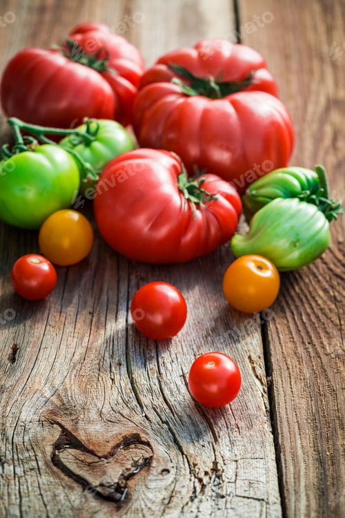 Preview: Fresh tomatoes in the countryside