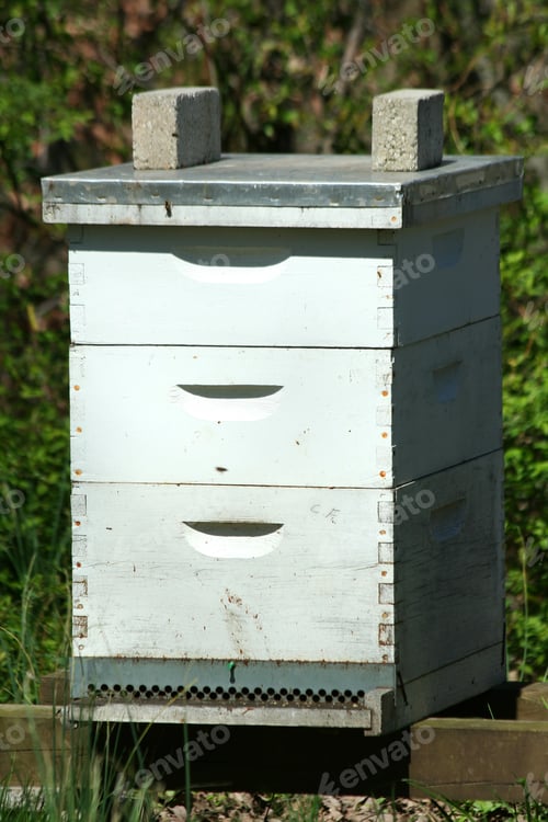 Preview: Beehive