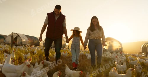 Preview: Agriculture, holding hands and chicken with family on farm for sustainability, environment and live