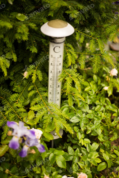 Preview: Vertical shot of a thermometer in the greenery