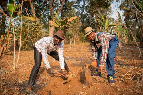 Preview: Two african farmers work the land of the field with the hoe, it is dry season