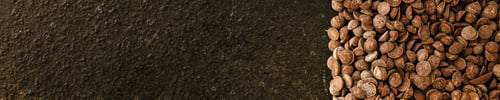 Preview: Chocolate Drops (Black Or Milk Chocolate, Sweet Ingredient) Menu Concept. Food Background. Copy