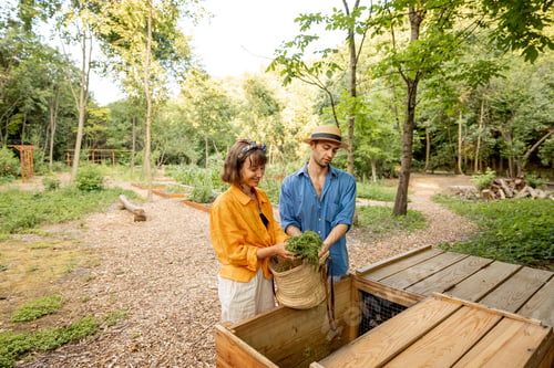 Preview: Couple throwing cut grass to compost wooden bin