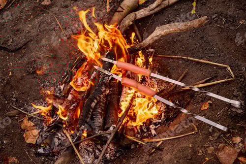 Preview: Frying hot dogs sausages on skewers over a campfire