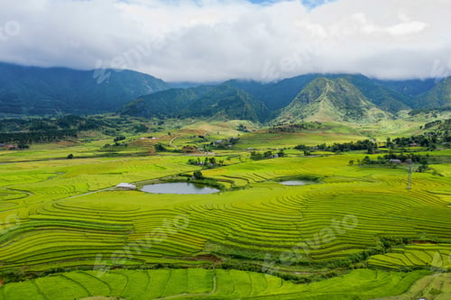 Preview: Paddy rice terraces, green agricultural fields in countryside of mountain hills valley, Vietnam.
