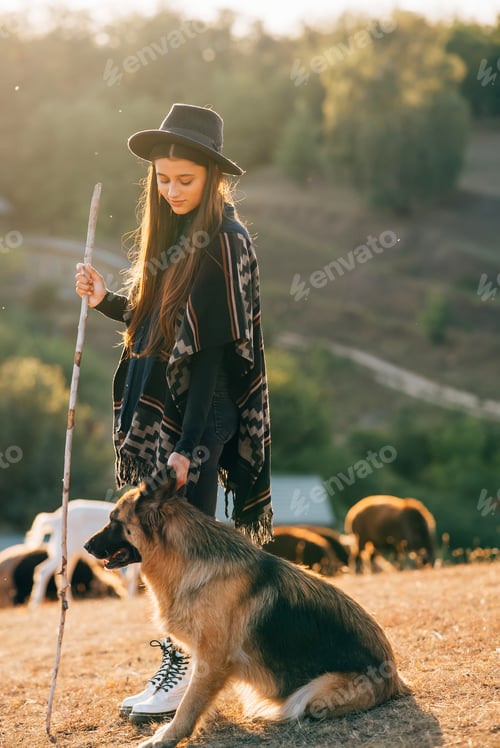Preview: Female shepherd with a dog grazes a flock on the lawn