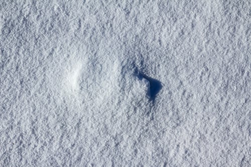Preview: High angle shot of beautiful glowing snow textures - pureness concept