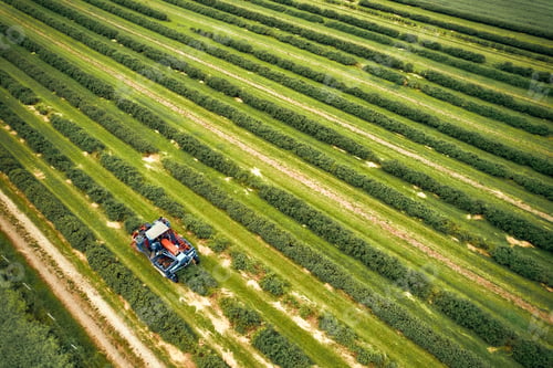 Preview: Modern machinery harvesting crops on vast farmland, demonstrating efficient farming