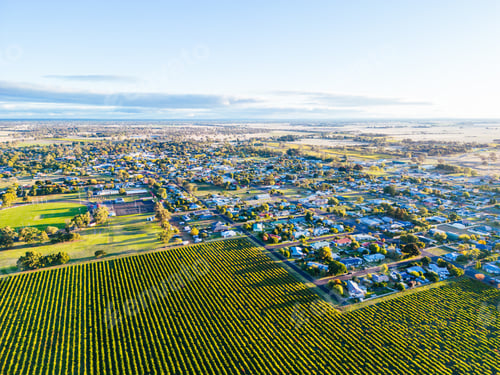 Preview: Coonawarra Landscape near Penola in Australia