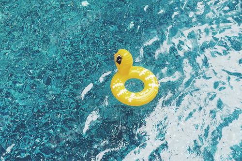 Preview: Yellow duck