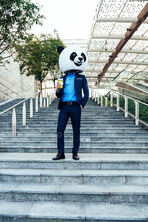 Preview: Storytelling image of a business man wearing a giant panda head