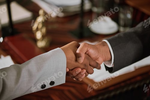 Preview: Hands of business partners handshaking