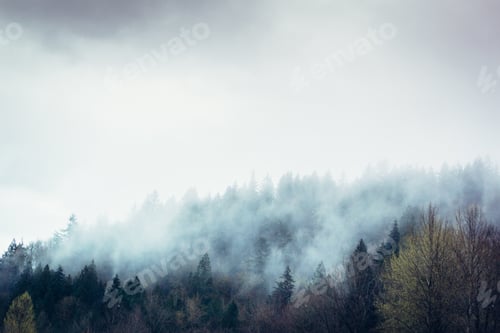 Preview: Foggy mountains in Canada