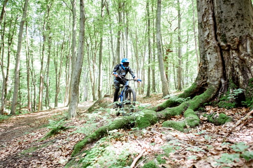 Preview: Professional cyclist riding in the forest