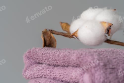 Preview: Cotton soft towels front view, copy space
