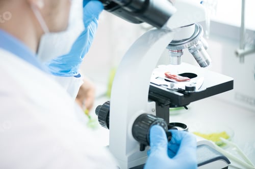 Preview: Unrecognizable Scientist Using Microscope