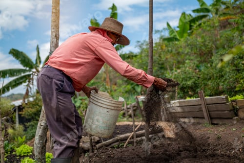 Preview: Latin Farmer Prepares Soil with Organic Fertilizer for Seed Planting