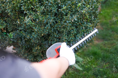 Preview: Man cuts a bush with electric trimmer