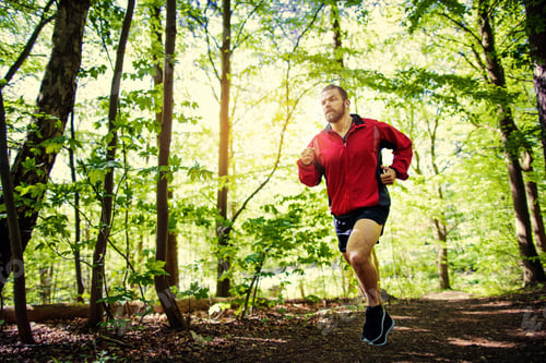 Preview: Fit young man running alone on a forest path